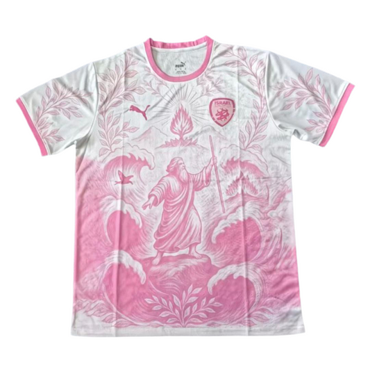 Israel Pink Special shirt