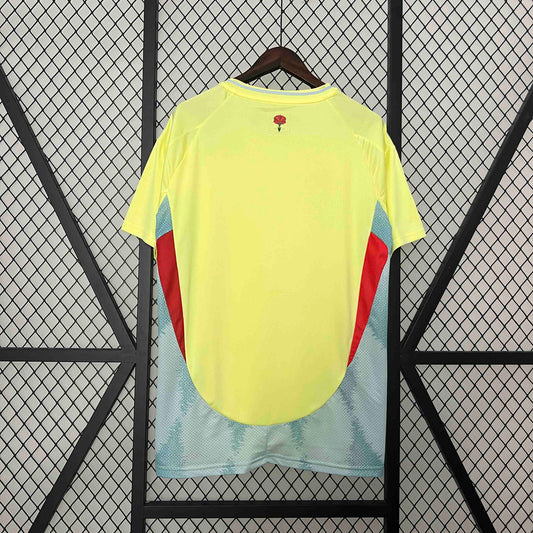 Spain Away Football shirt 2024/25